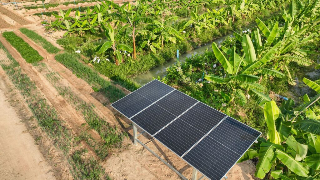 Solar panels installed in a banana plantation beside crop rows and an irrigation channel
